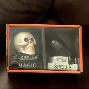 Skull and Raven on Spell Books Ceramic Halloween Salt and Pepper Shaker Set